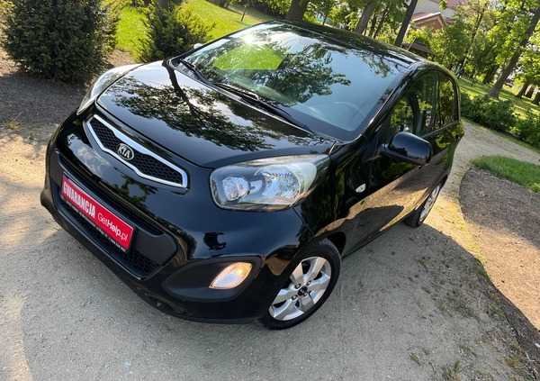 Kia Picanto cena 19999 przebieg: 171000, rok produkcji 2014 z Maków Podhalański małe 352